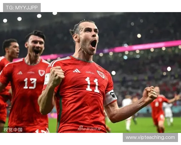 贝尔战波黑艰难威尔冲击世界杯